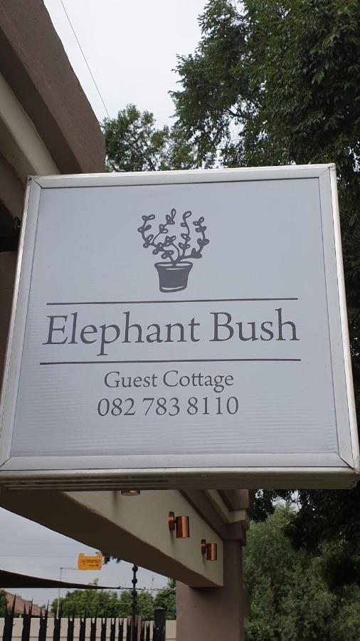 Elephant Bush Guest Cottage 알버톤 외부 사진